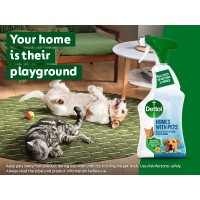 DETTOL universalus valiklis namams su augintiniais 750 ml